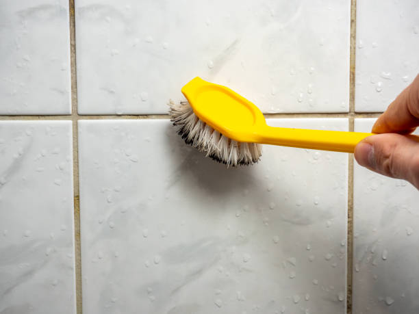 Professional Mold Remediation in Steele, MO